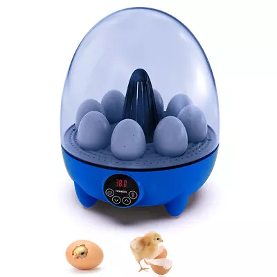 Incubators For Hatching Eggs 8  Incubator With    G4M6 • £51.60