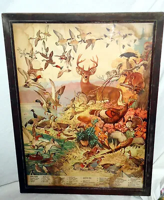 Original Vintage 1923 Remington Arms Wildlife Poster By Lynn Hunt /Not A Repo • $120