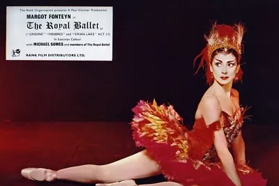 THE ROYAL BALLET MARGOT FONTEYN CLASSIC IN RED TUTU POSING ON FLOOR 24x36 Poster • $29.99