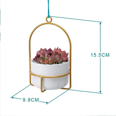  Lovely Fleshy Flower Pot Hanging Outdoor Wall Planters Pots The Fence • £11.11