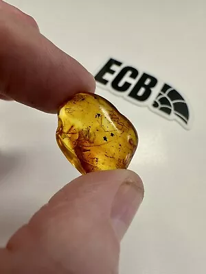 Baltic Amber With Mosquito Inclusion. 100% Real No Fakes. Uk Seller 🇬🇧 • £9.99