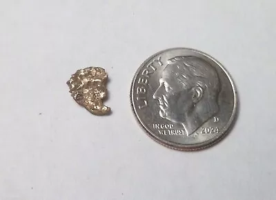 Natural Placer Gold Nugget .43 Grams Alaska Gold Low Starting Bid • $27.09