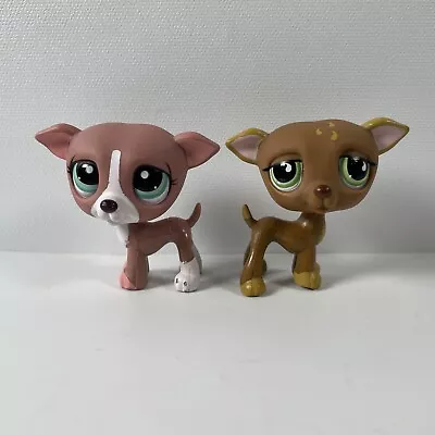 Littlest Pet Shop #1585 & #507 Toys | Brown Greyhounds Dogs | Official Hasbro • £13.99