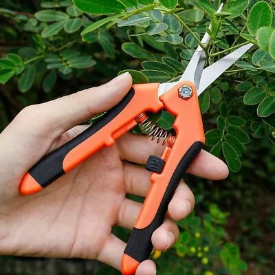 Trimming Leaf Snips | Garden Scissors | Pruning Bud Fruit  Herb | Flower Harvest • £9.90