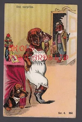 Comic European Artist  Style Postcard Of A Dachshund Being Surprised By Husband • £6