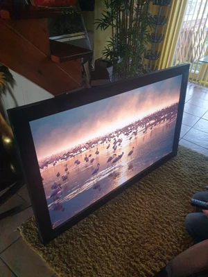 £270 • Buy Pioneer Kuro PDP-LX6090 60  1080p HD Plasma Television