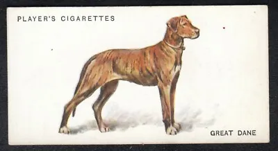 GREAT DANE Vintage 1931 Arthur Wardle Dog Painting Card  • $3.99
