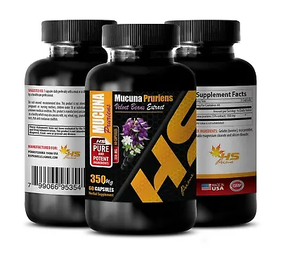 Velvet Beans Powder - MUCUNA PRURIENS EXTRACT - Brain Memory Support - 1 Bottle • £18.03