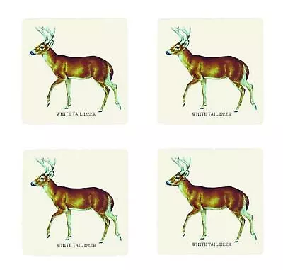 Woodland White Tail Deer Absorbent Drink Coasters Set Of 4 • $23.86