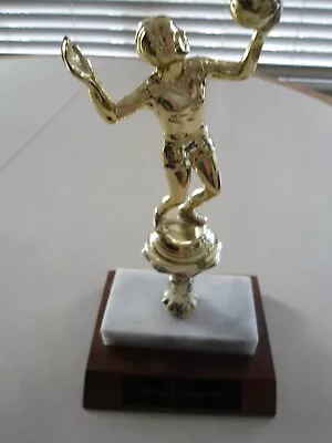 Female Volleyball Award Trophy 7.5  High   Most Improved  • $9.99