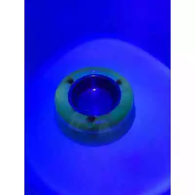 GLOWING BLACK LIGHT MCM Atomic Abalone Shell Seashell Inlay Ashtray VTG • $49.99