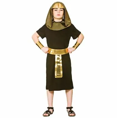 £13.99 • Buy Egyptian Pharaoh King Boy's World Book Day Fancy Dress Costume