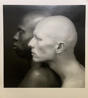 Robert Mapplethorpe Poster Kenn Moody Robert Sherman 1984 Print Large Photo • $59.99