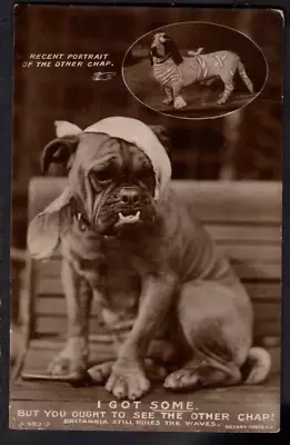 Military - WW1 Bandaged Bulldog & More Bandaged Dachshund RP 1916 Postcard • £4