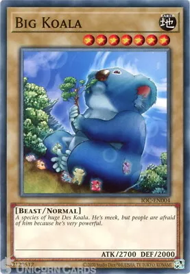 IOC-EN004 Big Koala :: Common 25th Anniversary Edition Mint YuGiOh Card • £0.99