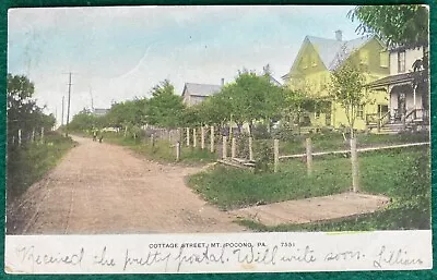 Cottage Street MT. Pocono PA Monroe County Pennsylvania 1907 Litho Postcard • $6.99