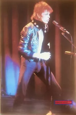 $115.45 • Buy David Bowie UK Import Concert Poster 22 X 33