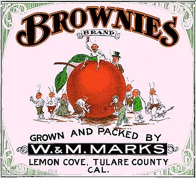 Lemon Cove Tulare Brownies #2 Orange Citrus Fruit Crate Label Vintage Art Print • $11.19