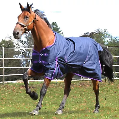 Lightweight Turnout Rug  Gallop Trojan 0g No Fill Standard Neck Lite Horse Rug • £31.95