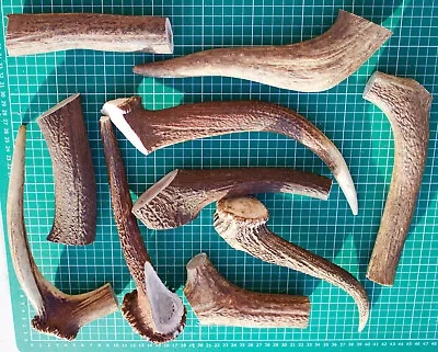 £17.95 • Buy Deer Antler Dog Chews - Puppy-Small-Med-Lrg-Xlrg-Long Lasting - 100% Natural