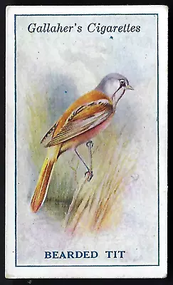 Gallaher - British Birds By George Rankin - #54 Bearded Tit • £1.20