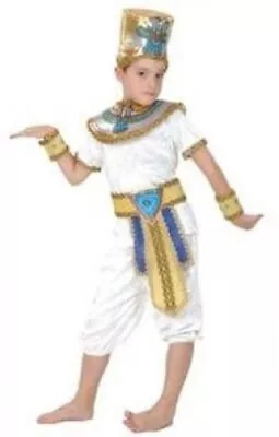 Boys Egyptian Prince Costume • £9.49