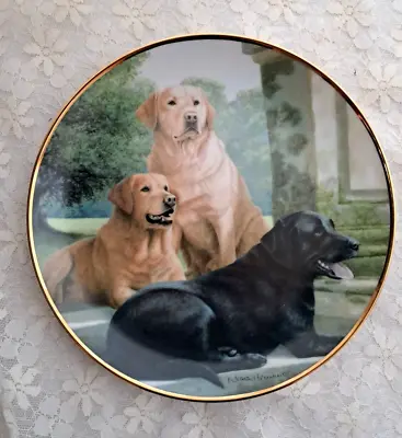 £8 • Buy Canine Companions - Black & Golden Labradors Nigel Hemming Plate Franklin Mint