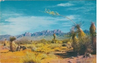 The Organ Mountains Near LAS CRUCES New Mexico • $1.59