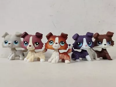 5pcs/lot LPS Toys Littlest Pet Shop Collie Dog #363#1262#1542#1676 Figures • £20.38