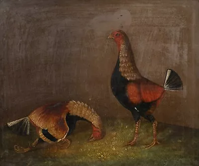 19th Century English Dorset Cockfighting Cock Fight Victory Sporting By SPORRETT • £1800