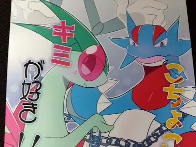 $49.99 • Buy POKEMON Doujinshi Flygon X Salamence (A5 32pages) Kocyo Kimi Ga Suki