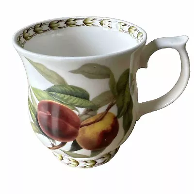 Queen's Royal Horticultural Society ~Hookers Fruit~ Fine Bone China Cup PEACHES • £9.14