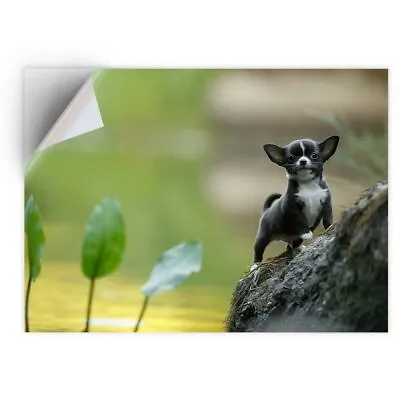 £5.99 • Buy 1 X Vinyl Sticker A4 - Small Black Chihuahua Puppy Dog  #46313