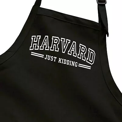 Apron Cooking Baking BBQ Gift Harvard Just Kidding Funny Humor Law University • $18