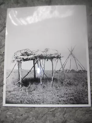 Native American Indian Photo 8x10 Photo Part Of Large Collection • £9.99