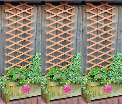 Garden Wooden Expanding Trellis 3pc Outdoor Plant Flower Support Panel Wall • £10.99