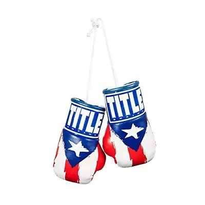 5” Mini Boxing Gloves White/Red/Blue • $17.83