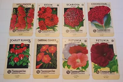 8 Vintage FLOWER SEED PACKS (S39)-Schmidt Litho-Lagomarsino-3 1/4  X 5 -Petunia • $14