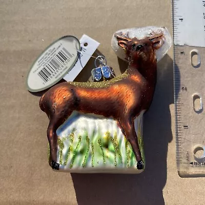 Old World Christmas WHITETAIL DEER (Midwest CBK) Glass Ornament W/Box3.5” T • $14