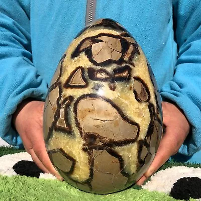 11.9LB Natural Septarian Dragon Quartz Crystal Egg Mineral Specimen Healing • $9.50