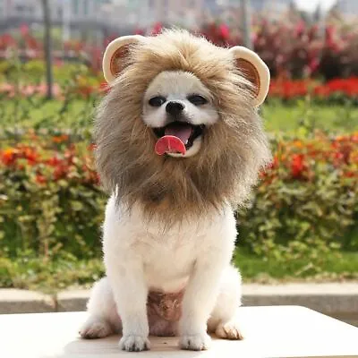 £4.57 • Buy Creative Cute Pet Costume Lion Mane Wig Hat For Dog Cat Funny Dress Up Pet Toy