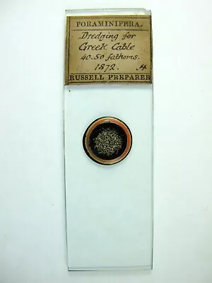 Antique Microscope Slide By Thomas Russell.  Dredging For Greek Cable. 1872 . • $6.22