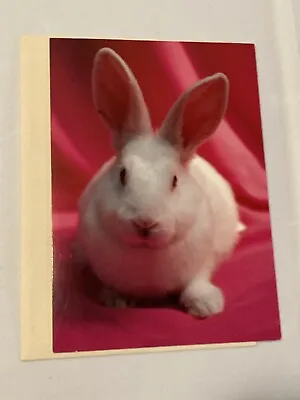 Vintage Marcel Schurman Easter Greeting Card Cute Bunny Rabbit • $6