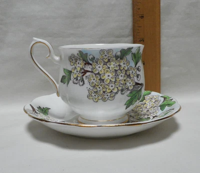 $15 • Buy Royal Albert Hawthorn Cup & Saucer Set Bone China England Flower Of The Month 