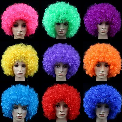 Men/Women Afro Wig Fancy Dress Wigs Funky Disco Clown Style Costume 70's Hair • $8.57