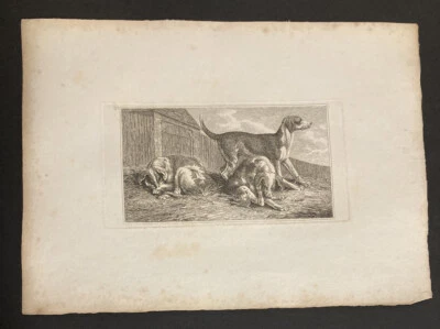 £9.99 • Buy Etching By Samuel Howitt DOGS