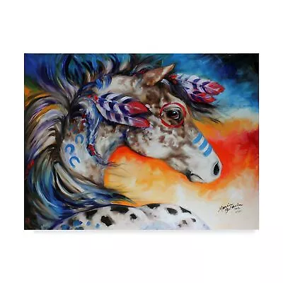 Trademark Fine Art Appaloosa Indian War Horse By Marcia Baldwin 18x24 Multi... • $83.69