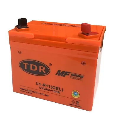 12V RIDE ON MOWER AGM U1R 895 Exide U1r-250 Lawn Mower Battery 12V 28AH • $105.95