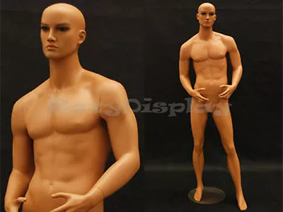 Tan Skin Young Male Mannequin Dress Form Display #MD-HAM24 • $209