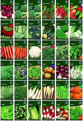 £1.49 • Buy Grow Your Own Fresh Herbs Vegetable Fruit Garden Treasures Seeds Indoor Outdoor